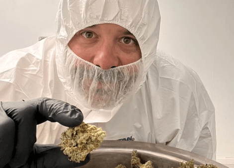 A weed grower with his dried cannabis.
