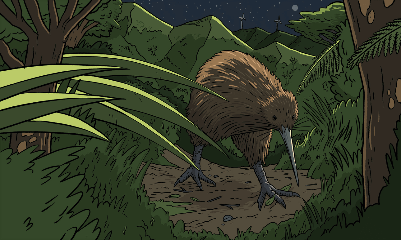 The Side Eye: Anahera, our neighbour