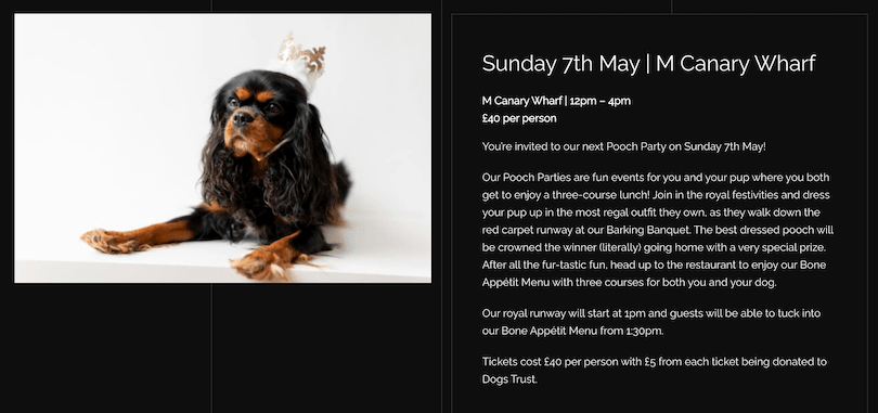 A screenshot of the website advertising the "Barking Banquet Pooch Party", plus a photo of a cavalier king charles spaniel wearing a crown