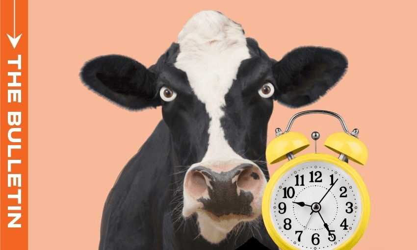 Running down the clock on agriemissions pricing The Spinoff