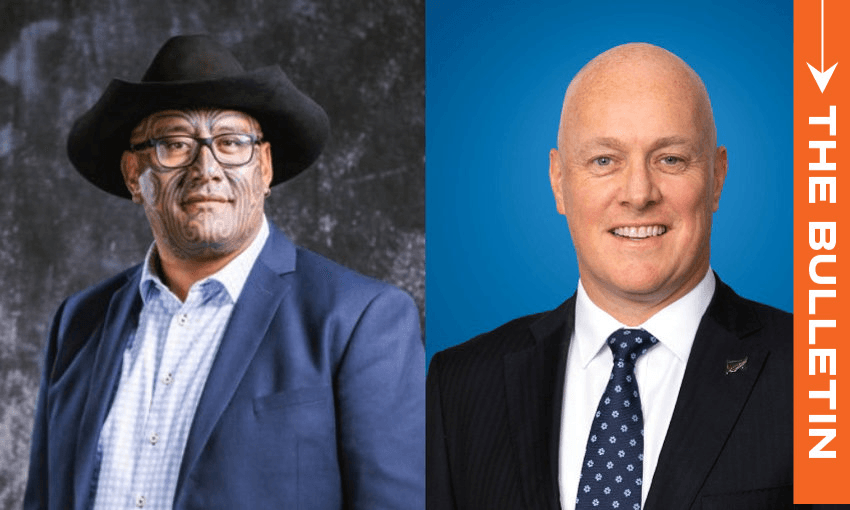 Te Pāti Māori co-leader Rawiri Waititi and National Party leader Christopher Luxon (Photos: Supplied) 

