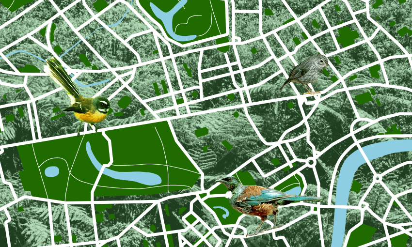 Thompson-Fawcett’s work is helping to indigenise urban planning (Image: Getty; additional design: Archi Banal)