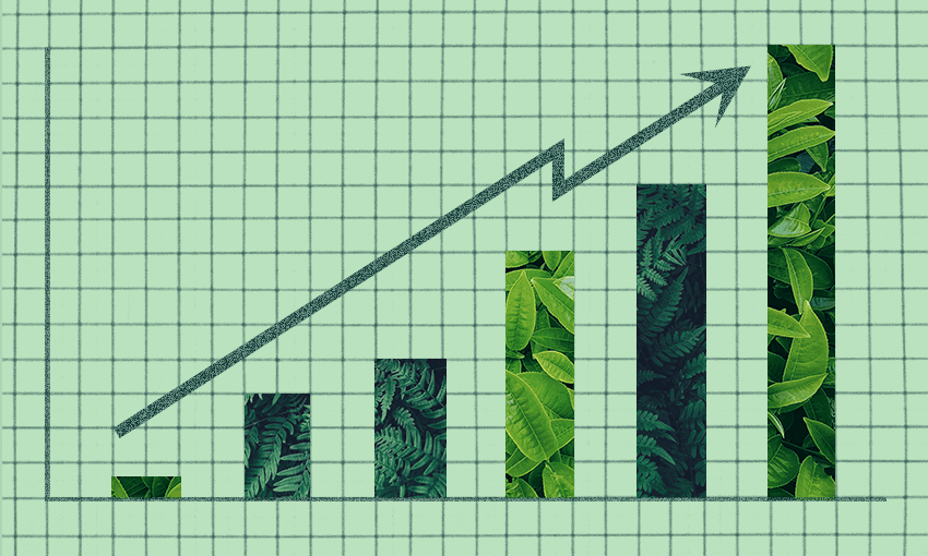 Māori business is going from strength to strength; the UABS is teaching students how to harness that (Image: Archi Banal) 
