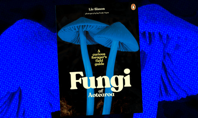 The magic of mushies: an excerpt from Fungi of Aotearoa by Liv Sisson ...