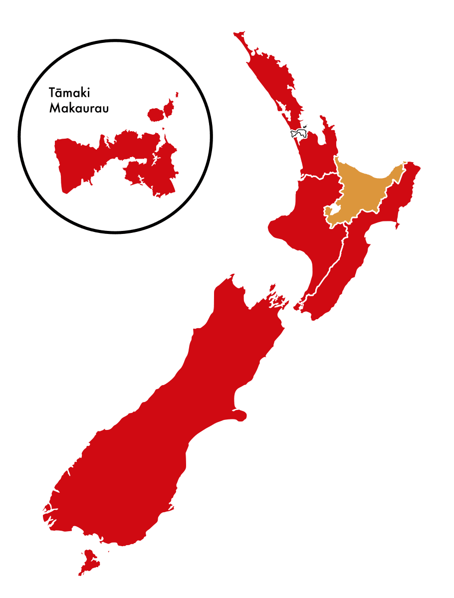 A map of New Zealand's Māori electorates by party which party won each contest. 