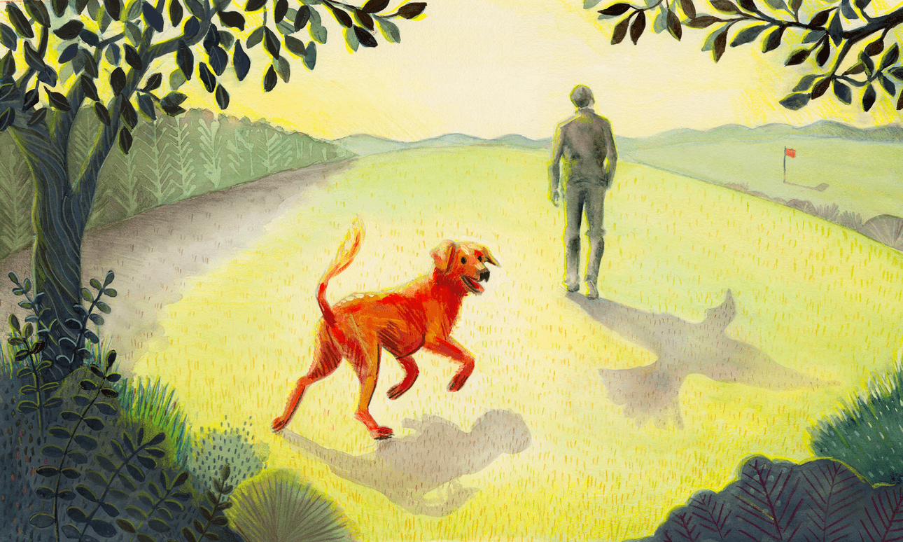 Illustration: Lily Emo 
