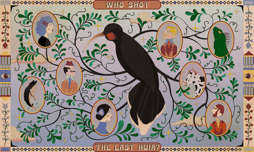 The Sunday Essay: Who shot the last huia?