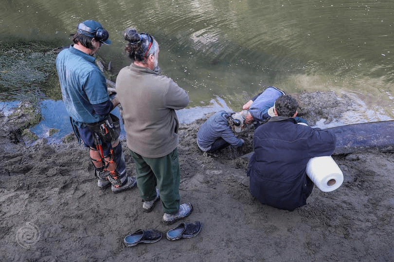 four people on a river bank, digging a waka out of mud