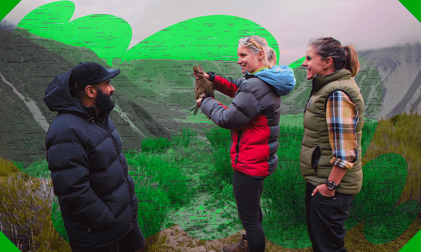 Pax Assadi, DOC’s Kerry Weston (holding Pax the kea) and Nicola Toki feature on Endangered Species Aotearoa (Photo: TVNZ / Design: Tina Tiller)