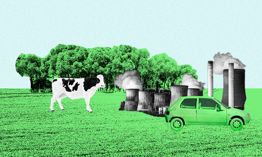 Explainer: The difference between carbon neutral, zero emissions and net zero