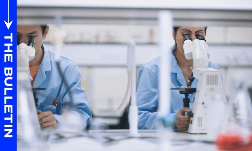 Scientists look into microscopes in a lab