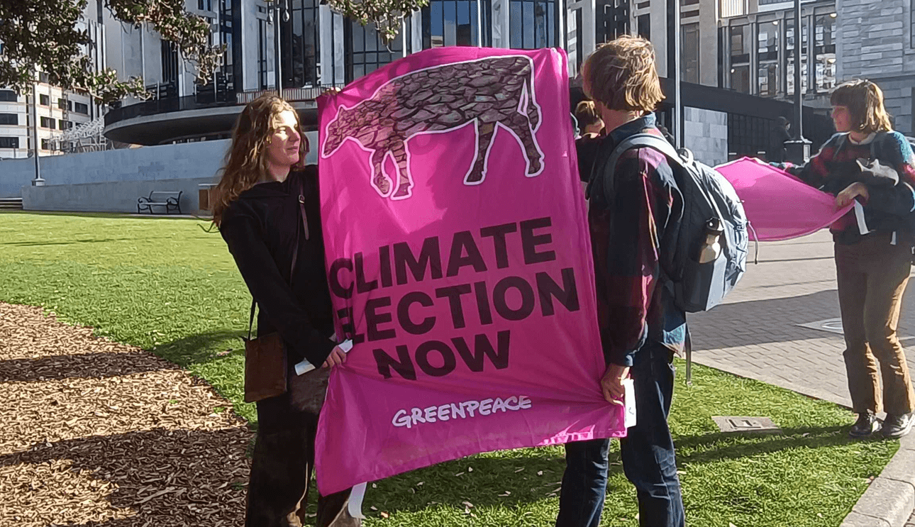 Greenpeace protestors outside parliament after being ejected.