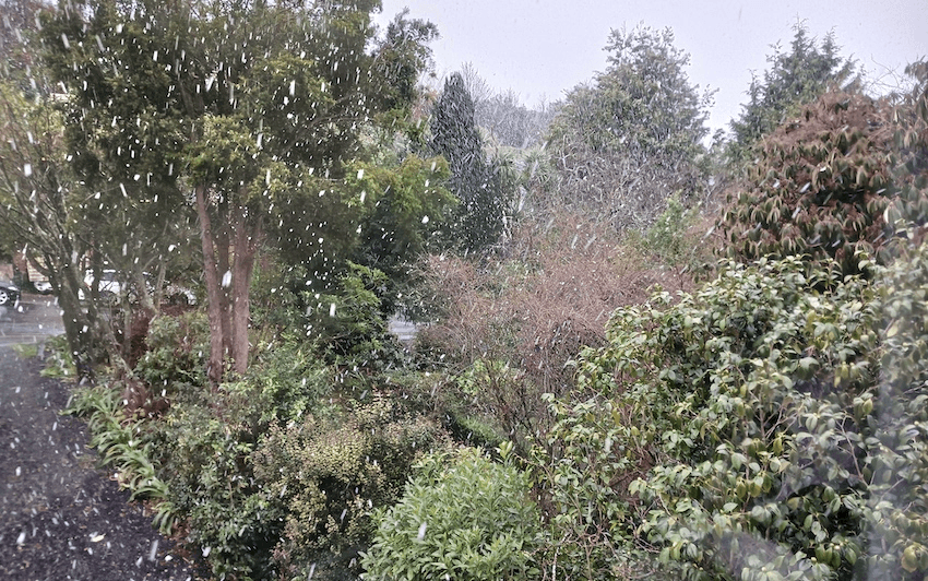 Snow in Dunedin