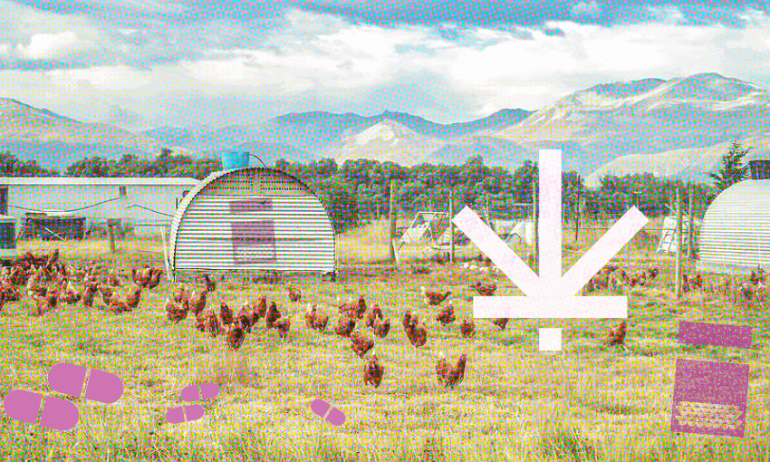 (Image: Getty, additional design: Tina Tiller) 
