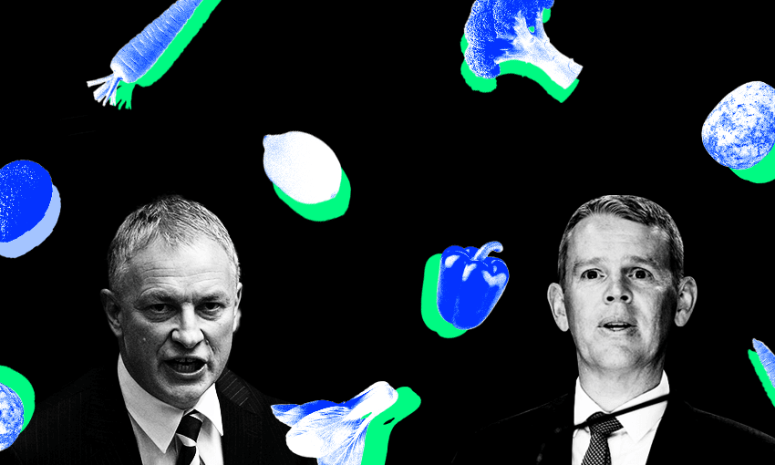 Phil Goff, Chris Hipkins and fresh produce (Image: Archi Banal) 
