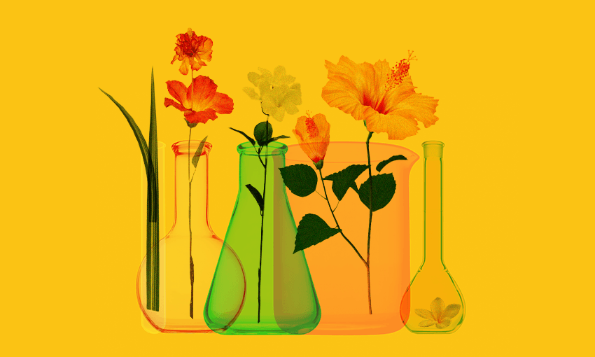 (Image: Getty, additional design: Archi Banal) 
