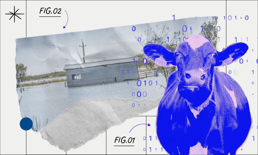 (Image: Lauren Stewart/Daylight)