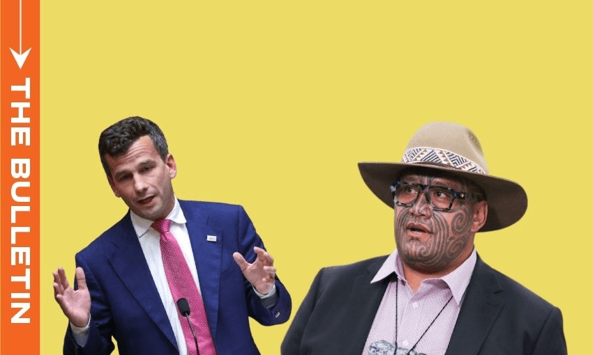 Act leader David Seymour and Te Pāti Māori co-leader Rawiri Waititi