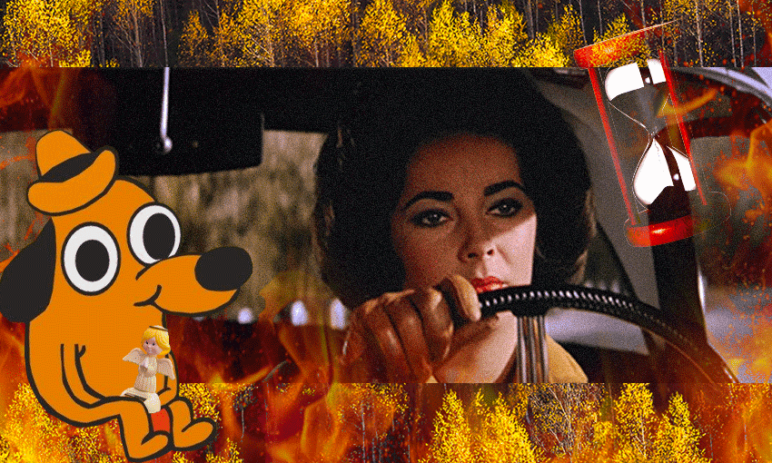 Having a little car sit (Image: Tina Tiller)