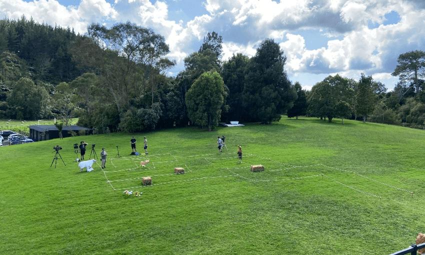 A Taskmaster task being filmed