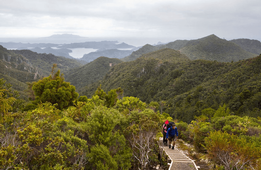 A view of Great Barrier Island.