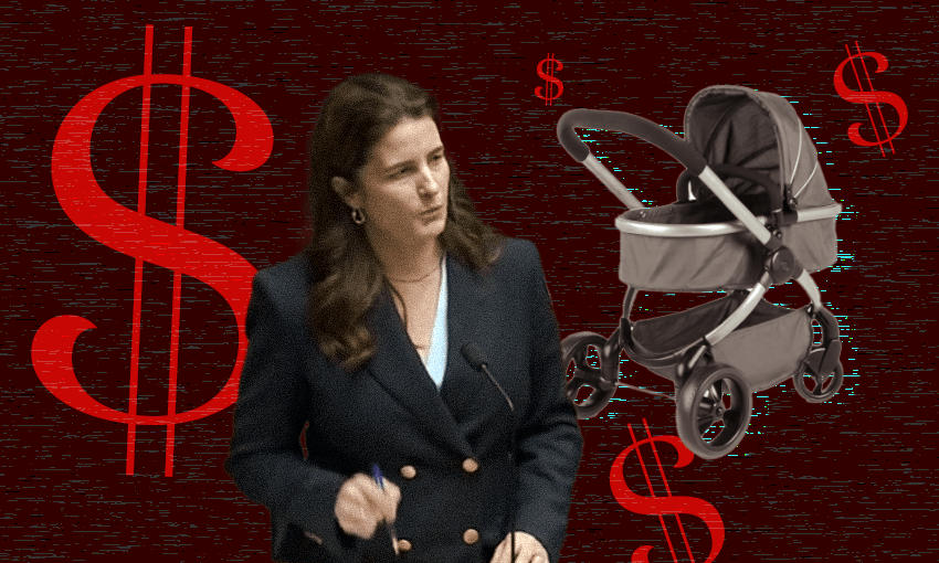 National deputy leader Nicola Willis, the sponsor of the shared leave bill (Image: Getty Images/Tina Tiller) 
