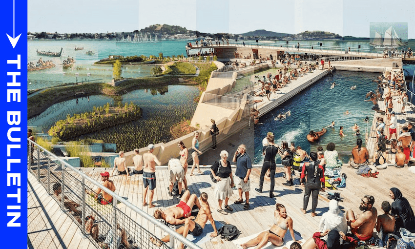 An artist’s impression shows a seawater pool and wetland areas on Auckland’s downtown waterfront (Image: Nick McKay/Eke Panuku) 
