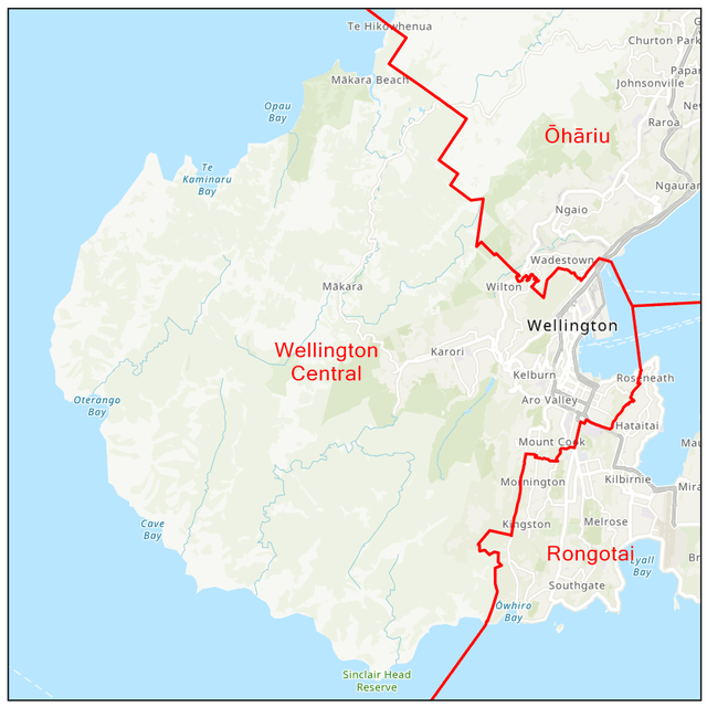 Wellington Central Electorate Boundaries Map 2020.E9GX2g 1 ?w=640