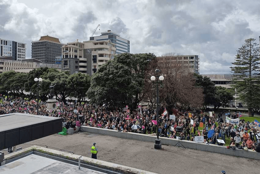 Several hundred Freedoms protesters rally on the grounds of parliament