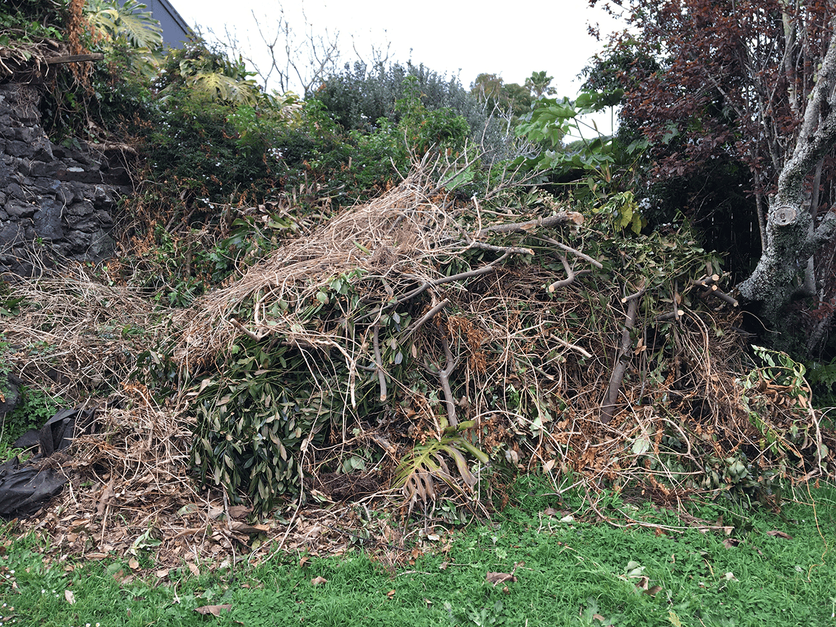 a huge pile of green waste