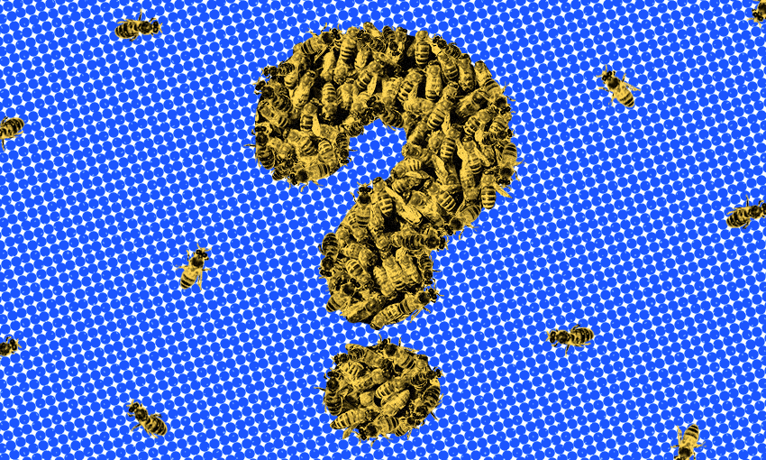 Bees in a question mark on a blue backdrop
