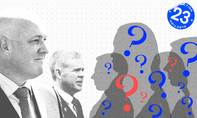 Who are the new National and Labour MPs? The Spinoff