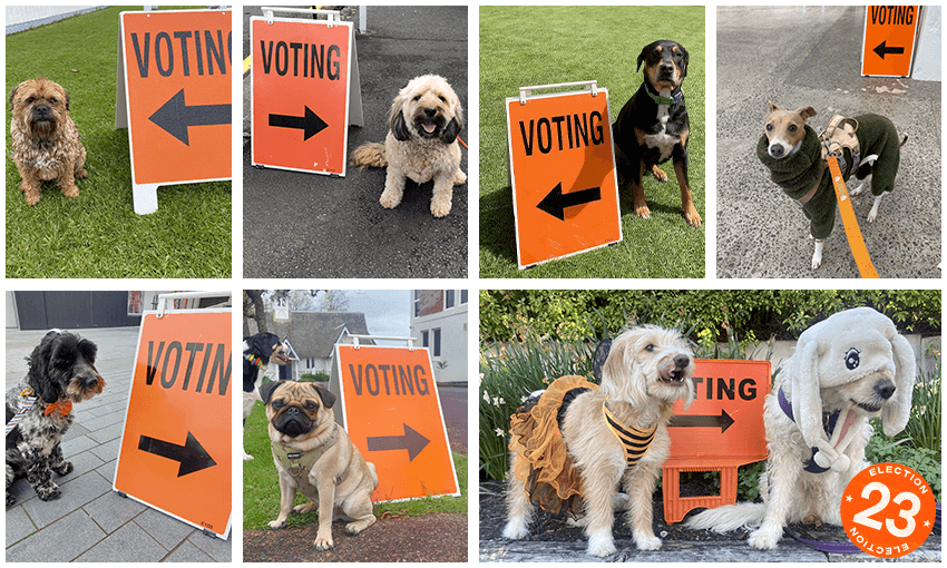 dogs at polling booths 2023 
