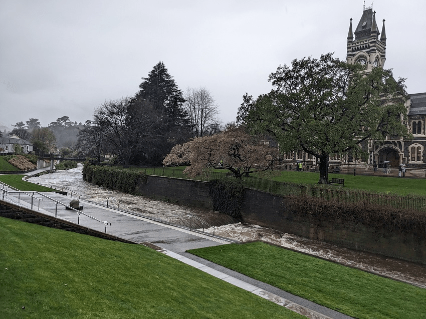 a flooded creek and a gothic stone building behind with spring blossoms and an aura of dampness