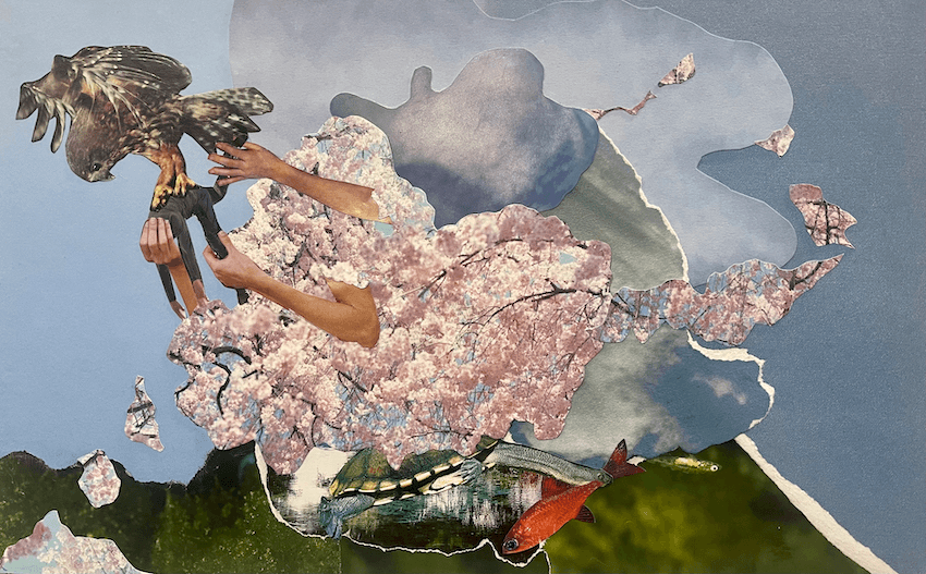 The Sunday Essay: Twenty-five years