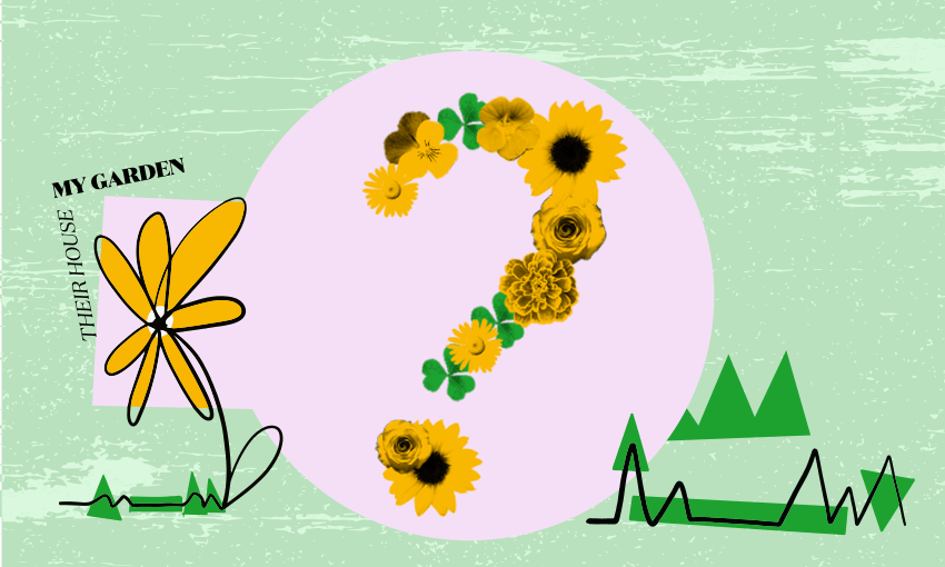 Their house, my garden: Is there any point in growing flowers?