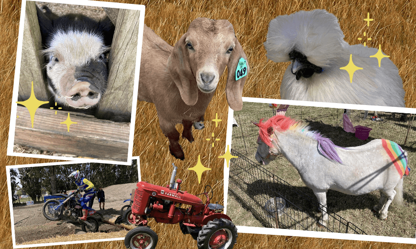 A day at the show. Image: Tina Tiller