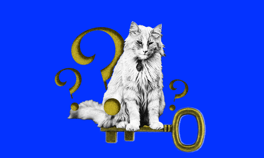 New Zealand’s most famous key to the city recipient, Mittens (Image: Archi Banal) 
