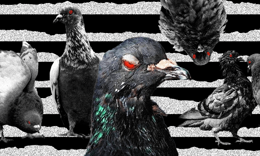 Choose your fighter (Image: Archi Banal) 
