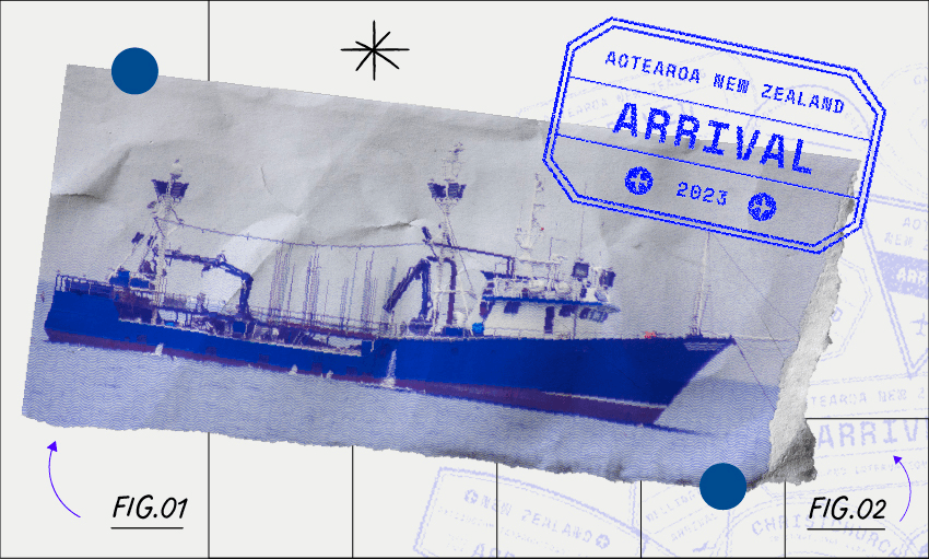 (Image: Lauren Stewart/Daylight Creative) 
