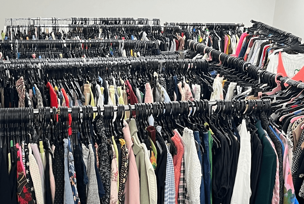 Garment rack online briscoes