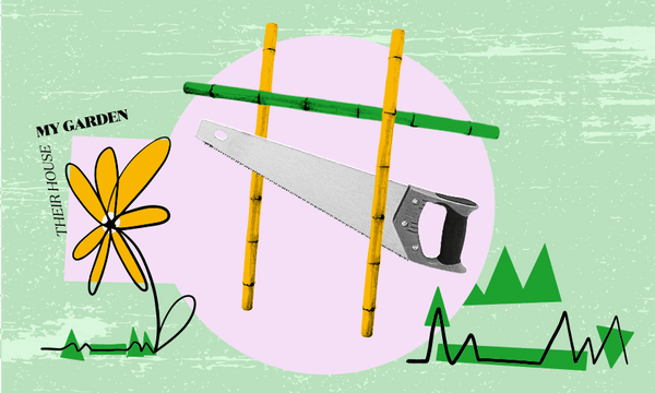 Their house, my garden: Support systems