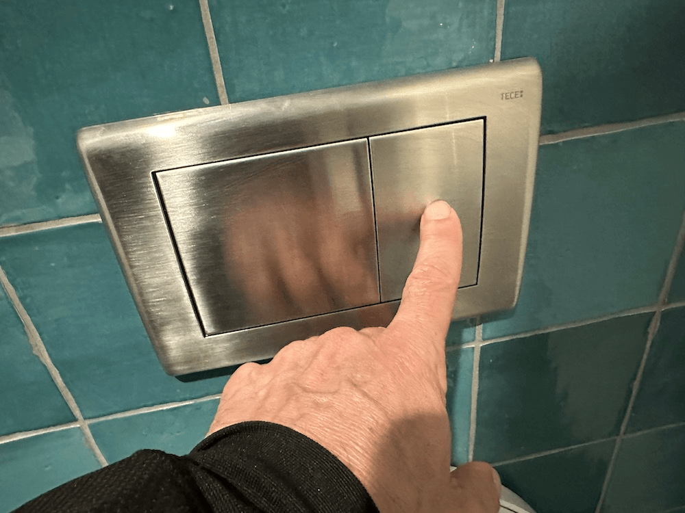 An easy to understand NZ toilet button.