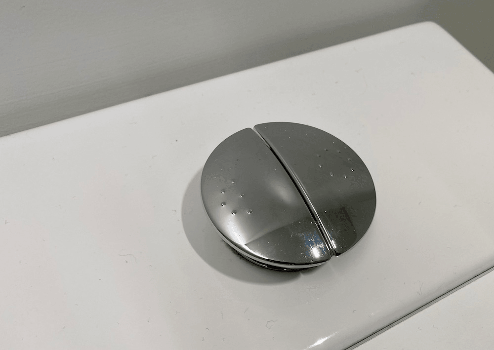 A confusing toilet buton.
