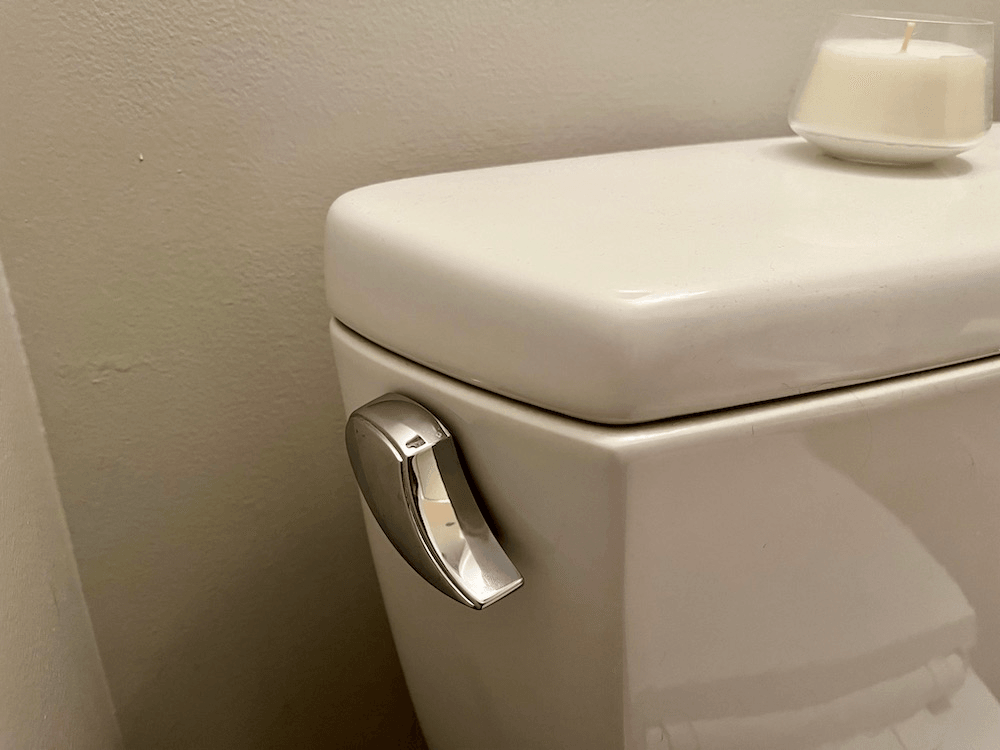 An American style toilet.