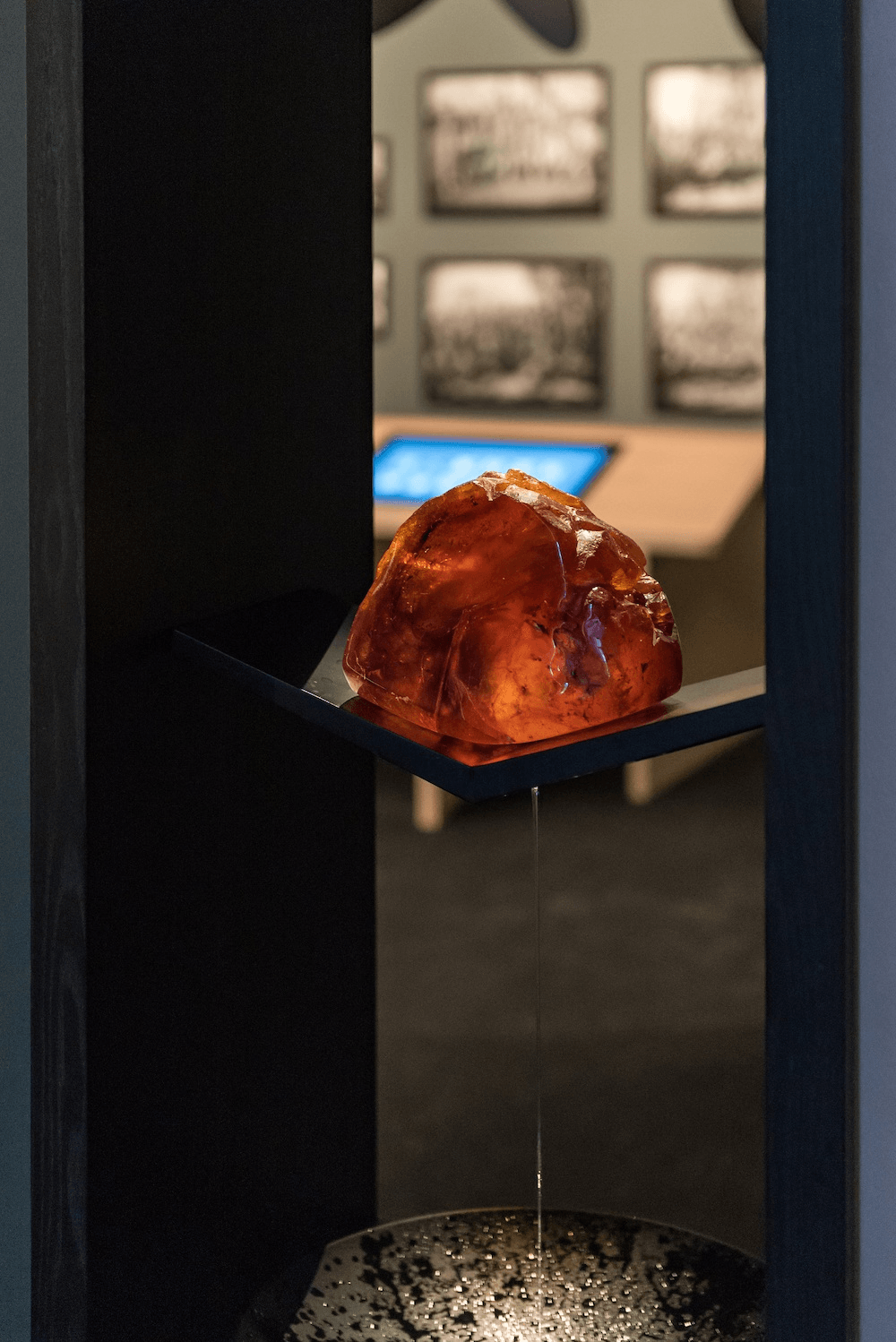 The kauri gum in questioned, pictured within one of Te Rau Aroha's two water features.
