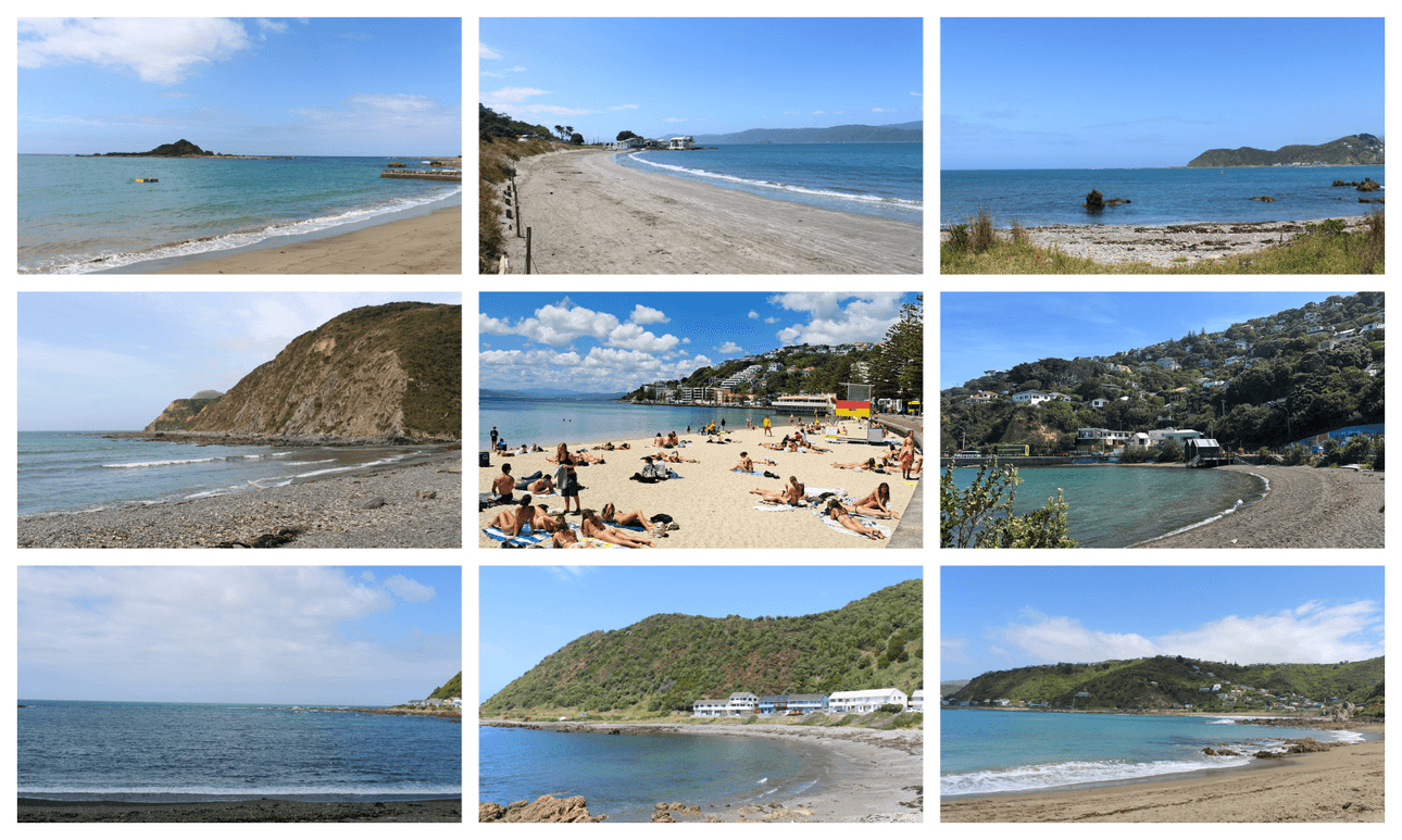 One day, 25 swims: A definitive ranking of Wellington’s best and worst beaches