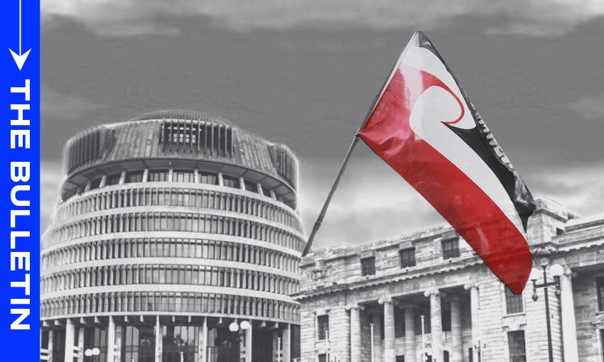 Te Pāti Māori promise day of protest and disruption as 54th parliament set to open 
