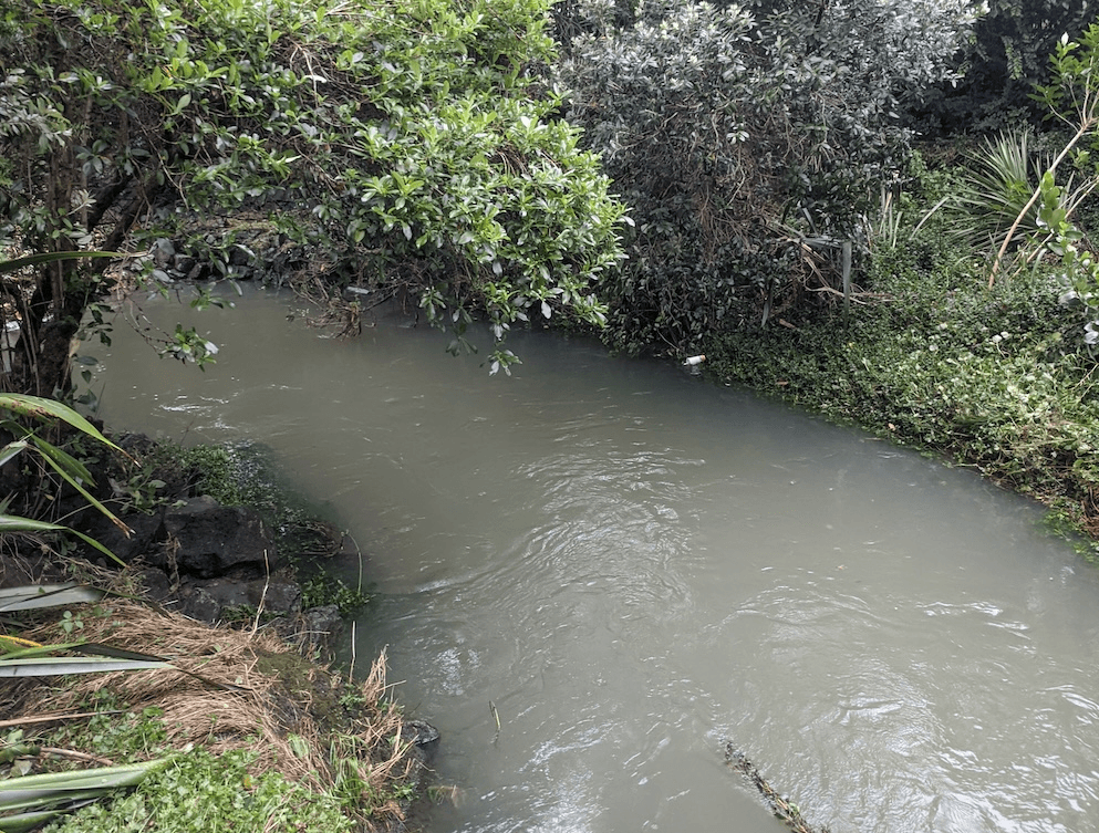 cloudy grey green water with bushes around it