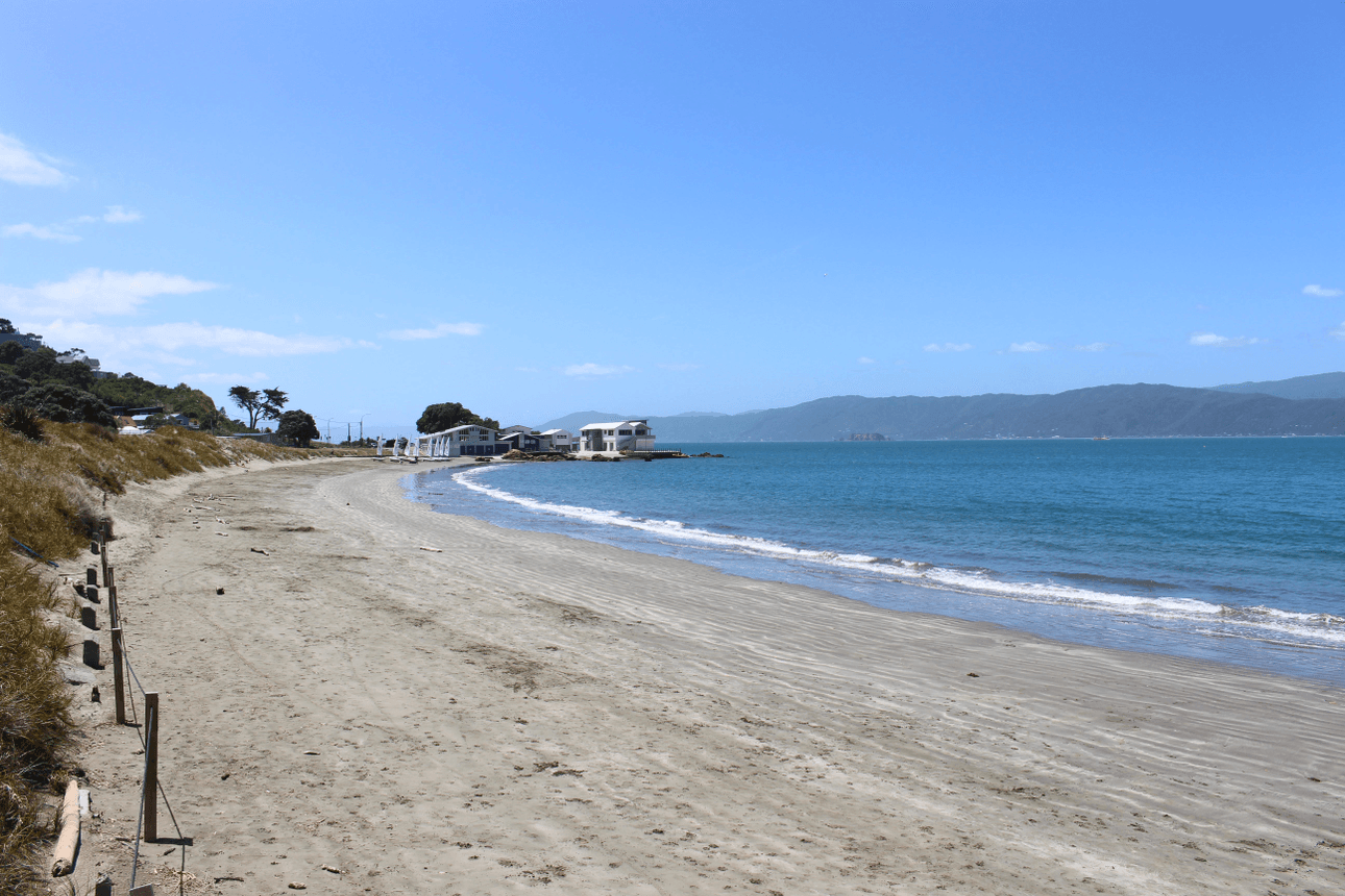a gravel beach on a sunny day